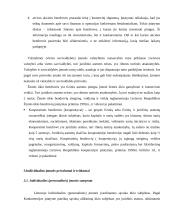 Individualios įmonės vystymas 8 puslapis