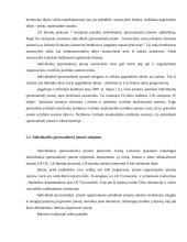 Individualios įmonės vystymas 9 puslapis