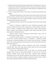 Individualios įmonės vystymas 10 puslapis