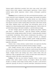 Verslo strategijos formavimas  8 puslapis