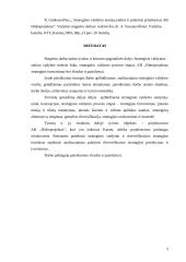 Strateginio valdymo pritaikymas AB Hidroprojektas 2 puslapis