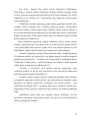 Strateginio valdymo pritaikymas AB Hidroprojektas 13 puslapis