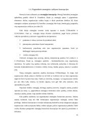 Strateginio valdymo pritaikymas AB Hidroprojektas 14 puslapis