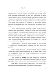 Strateginio valdymo pritaikymas AB Hidroprojektas 4 puslapis