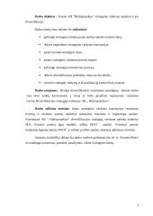 Strateginio valdymo pritaikymas AB Hidroprojektas 5 puslapis