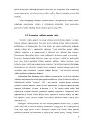 Strateginio valdymo pritaikymas AB Hidroprojektas 9 puslapis