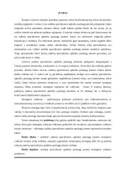 Įmonės "Scandye" strateginis planas  2 puslapis