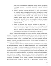 Įmonės "Scandye" strateginis planas  13 puslapis