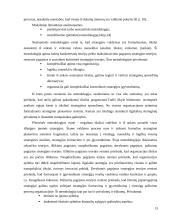 Įmonės "Scandye" strateginis planas  14 puslapis