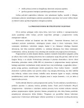 Įmonės "Scandye" strateginis planas  15 puslapis