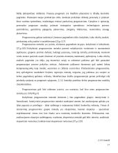 Įmonės "Scandye" strateginis planas  16 puslapis