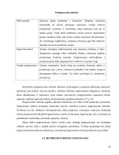 Įmonės "Scandye" strateginis planas  17 puslapis