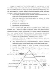 Įmonės "Scandye" strateginis planas  18 puslapis