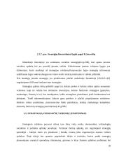 Įmonės "Scandye" strateginis planas  19 puslapis