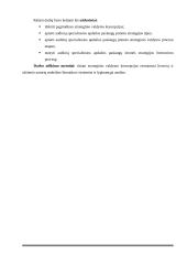 Įmonės "Scandye" strateginis planas  3 puslapis