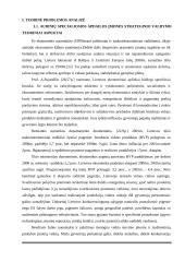 Įmonės "Scandye" strateginis planas  4 puslapis