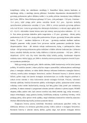 Įmonės "Scandye" strateginis planas  5 puslapis