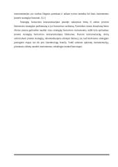 Įmonės "Scandye" strateginis planas  6 puslapis