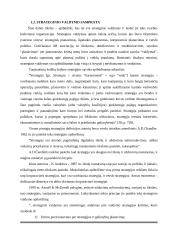 Įmonės "Scandye" strateginis planas  7 puslapis