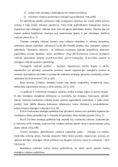 Įmonės "Scandye" strateginis planas  8 puslapis