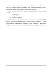 Įmonės "Scandye" strateginis planas  10 puslapis