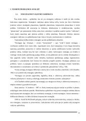 UAB „Scandye“ strateginis planas. Magistro darbas 11 puslapis