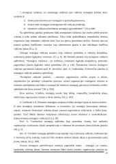 UAB „Scandye“ strateginis planas. Magistro darbas 12 puslapis