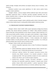 UAB „Scandye“ strateginis planas. Magistro darbas 13 puslapis