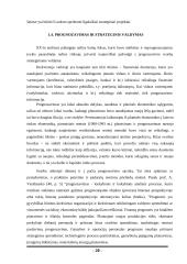 UAB „Scandye“ strateginis planas. Magistro darbas 19 puslapis