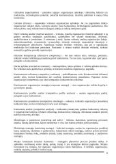 UAB „Scandye“ strateginis planas. Magistro darbas 7 puslapis