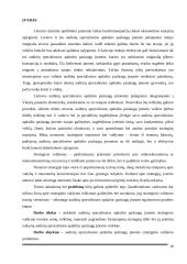 UAB „Scandye“ strateginis planas. Magistro darbas 9 puslapis