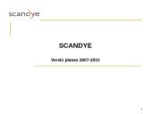 UAB "Scandye" verslo planas 2007-2010m. 