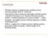 UAB "Scandye" verslo planas 2007-2010m.  2 puslapis