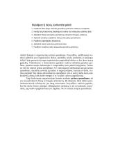 Individualių sprendimų priėmimas 2 puslapis