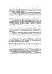 Individualių sprendimų priėmimas 17 puslapis