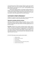 Individualių sprendimų priėmimas 3 puslapis