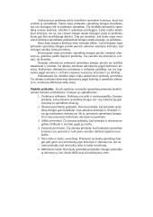 Individualių sprendimų priėmimas 4 puslapis