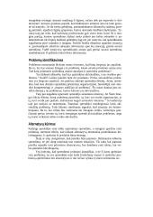 Individualių sprendimų priėmimas 9 puslapis