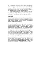 Individualių sprendimų priėmimas 10 puslapis