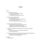 Inovacinio bendradarbiavimo stiprinimas tarp mokslo sferos ir pramonės 2 puslapis