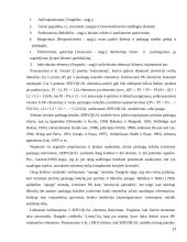 Esamų įsipareigojimų tyrimas  viešbutyje “Linėja”  17 puslapis