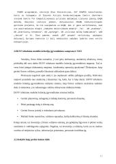 Europos kokybės modelio visuotinis įgyvendinimas 11 puslapis