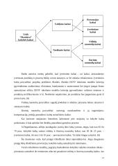 Europos kokybės modelio visuotinis įgyvendinimas 14 puslapis