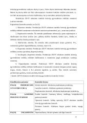 Europos kokybės modelio visuotinis įgyvendinimas 19 puslapis