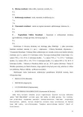 Europos kokybės modelio visuotinis įgyvendinimas 10 puslapis