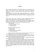 ISO 9001 diegimo kaštai 3 puslapis