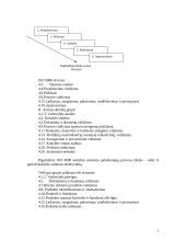 ISO 9001 diegimo kaštai 5 puslapis