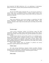 ISO 9001 diegimo kaštai 10 puslapis