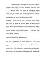 Išorinių nesėkmės kokybės kaštų vertinimo modelis  19 puslapis