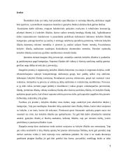 Kokybės kaina "N" organizacijoje 3 puslapis